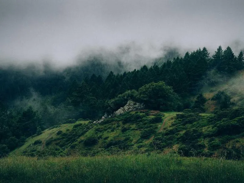 Street Glide ohjaustanko 14" ape hanger