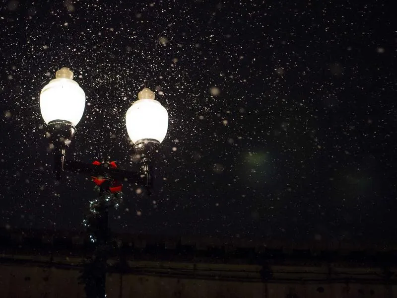 Dyna Low Rider peilit mustat