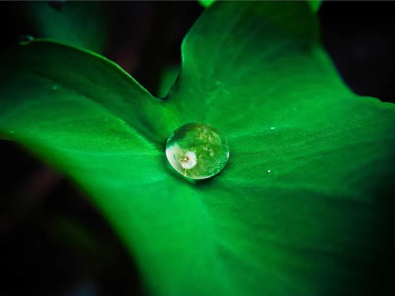 Softail Fat Boy jarrulevyt kelluvat