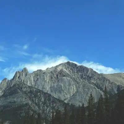 Ostetaan: Electra Glide nopeusmittari