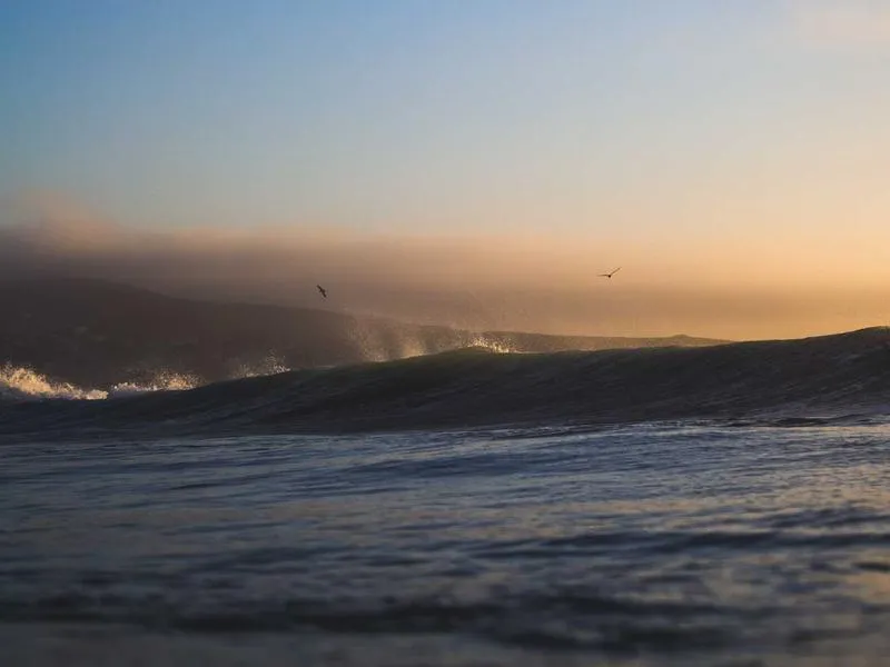 CVO Street Glide takavalo mukautettu