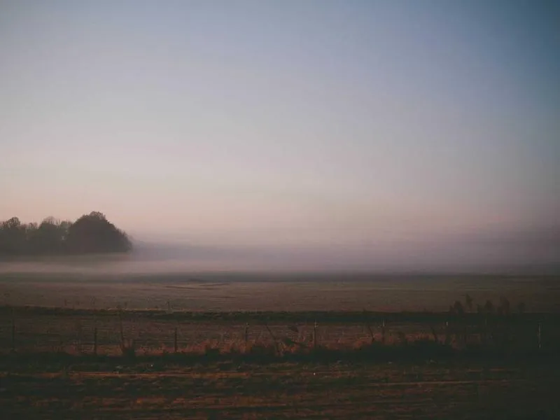 Ostetaan: Pan America handsuojat