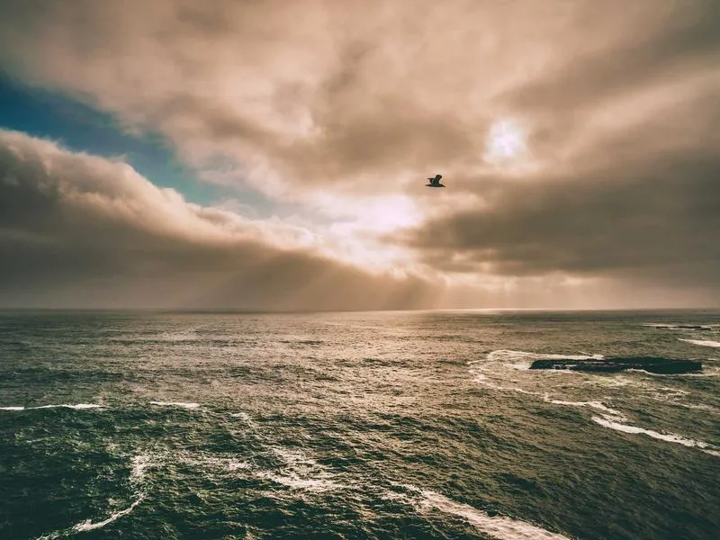 Ostetaan: Street 500/750 heiluri