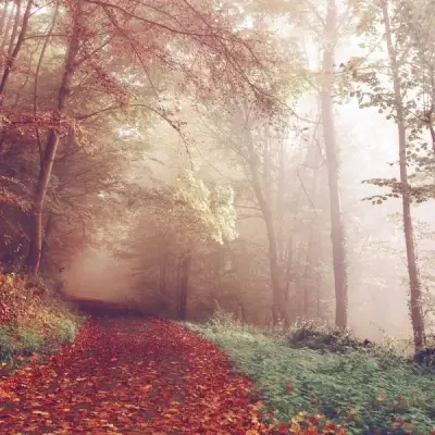 HD öljynvaihtopaketti kaikille malleille